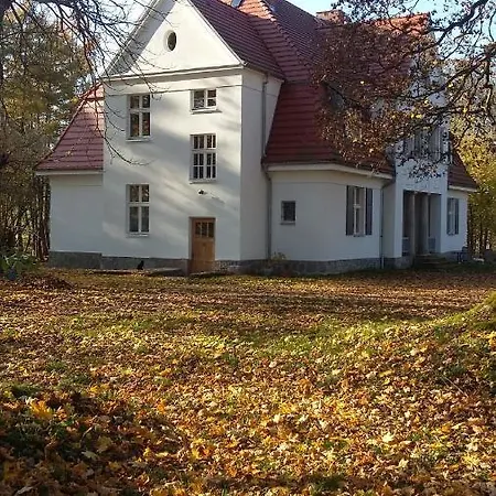 Dwor Apartment *